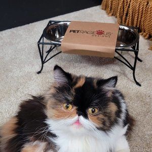 Pet Bowls Raised Small Cat Or Dog.. Bran New w/ Tag!